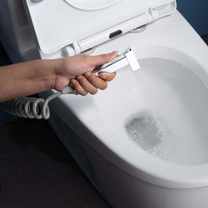 Pulverizador de bidé de mano para inodoro Kit de juego de bidé higiénico de una mano