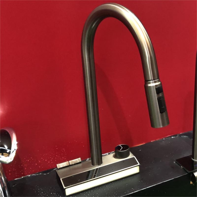 Gourmet Pull out stainless steel 304 gold kitchen sink faucet fly rain kitchen faucet